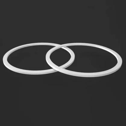 PTFE ব্যাক আপ রিং